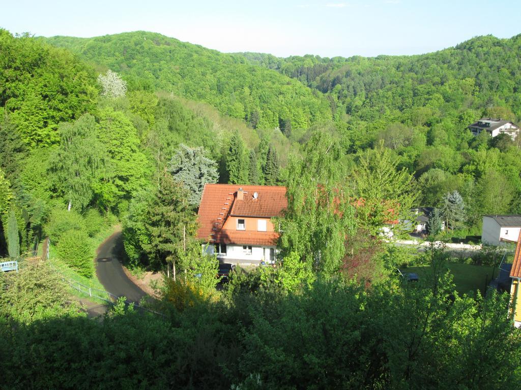 Schlossberg Ferienwohnung Waldeck  Exterior photo